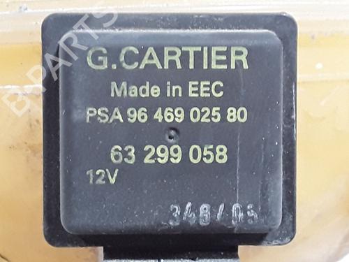 Ekspansjonstank PEUGEOT 206 Hatchback (2A/C) | BP30582060C120