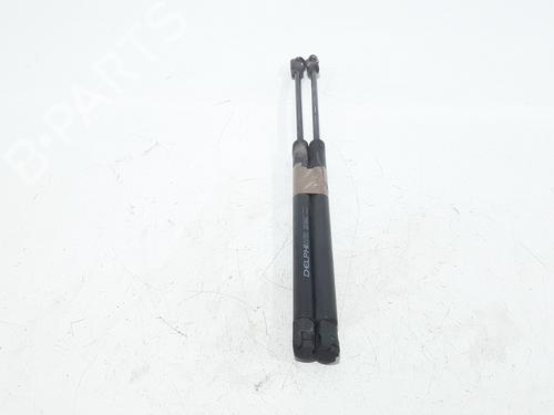 Tailgate lift support PEUGEOT 307 SW (3H) 2.0 HDI 110 | BP25168929C138 