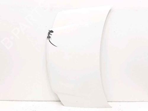 Hood FIAT PANDA (169_) 1.1 (169.AXA1A) | BP25167570C1 