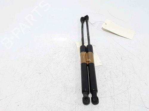 Hood lift support RENAULT KANGOO / GRAND KANGOO II (KW0/1_) 1.5 dCi 110 (KW06, KW12) | BP25167653C139 