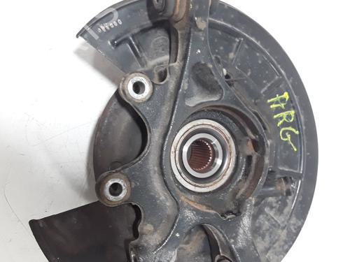 Left rear steering knuckle LAND ROVER RANGE ROVER SPORT I (L320) 3.6 D 4x4 | BP25195932M27 