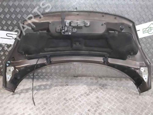 Hood RENAULT SCÉNIC III (JZ0/1_) 1.9 dCi (JZ0J, JZ1J, JZ1K, JZ1S) | BP25167328C1