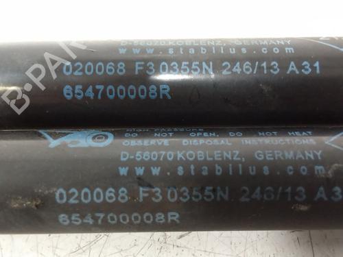 Hood lift support RENAULT SCÉNIC III (JZ0/1_) 1.5 dCi | BP29230314C139 
