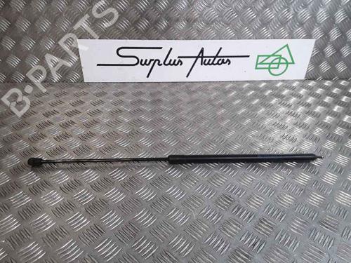 Used Hood lift support RENAULT MEGANE III Hatchback (BZ0/1_, B3_) 1.5 dCi (BZ0C) (90 hp) 25167609