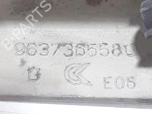 Hinge/Door check strap CITROËN C3 I (FC_, FN_) 1.4 16V HDi | BP27216723C146 