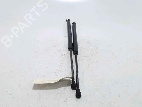 Gassdemper Bakluke PEUGEOT 207 SW (WK_) 1.6 HDi | BP25168829C138 