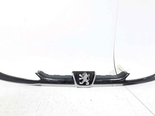 Used Grille PEUGEOT 206 Van 1.4 HDi (68 hp) 25167655