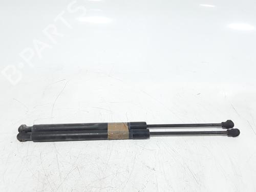 Tailgate lift support RENAULT CLIO IV (BH_) 1.5 dCi 90 | BP25168939C138 