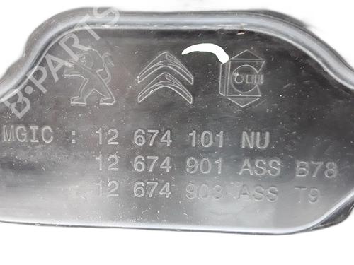 AdBlue tank PEUGEOT 308 SW II (LC_, LJ_, LR_, LX_, L4_) 2.0 BlueHDi 150 | BP28800619M85 
