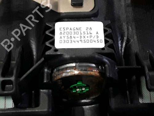 Driver airbag RENAULT MEGANE II (BM0/1_, CM0/1_) 1.6 16V (BM0C, CM0C) | BP25160124C9 