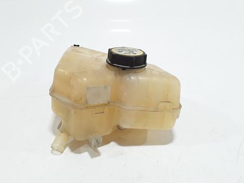 Expansion tank FORD FIESTA VI (CB1, CCN) 1.4 TDCi | BP26462389C120 