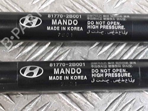 Tailgate lift support HYUNDAI SANTA FÉ II (CM) 2.2 CRDi 4x4 | BP25168774C138 