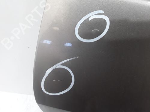 Right rear door RENAULT SCÉNIC III (JZ0/1_) 1.5 dCi | BP29170404C5 