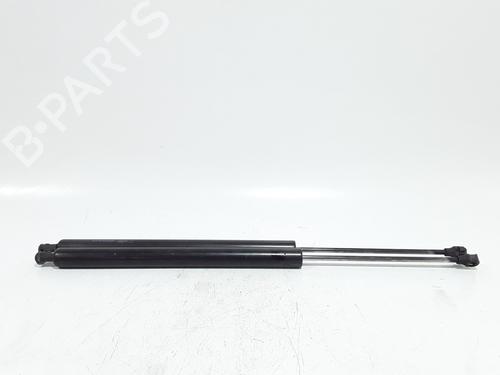 Used Tailgate lift support Tailgate lift support PEUGEOT PARTNER Tepee 1.6 HDi 90 (92 hp) 36004785 36004785