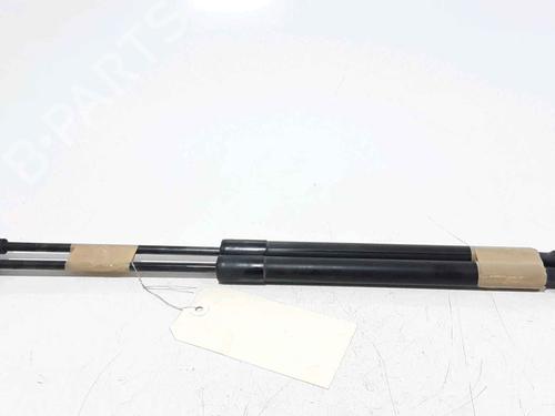 Tailgate lift support RENAULT CLIO IV (BH_) 0.9 TCe 90 (BHNF, BHMA, BHMH, BHJK, BHJR) | BP25168285C138 