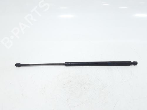 Hood lift support LAND ROVER RANGE ROVER SPORT I (L320) 3.6 D 4x4 | BP25167210C139 
