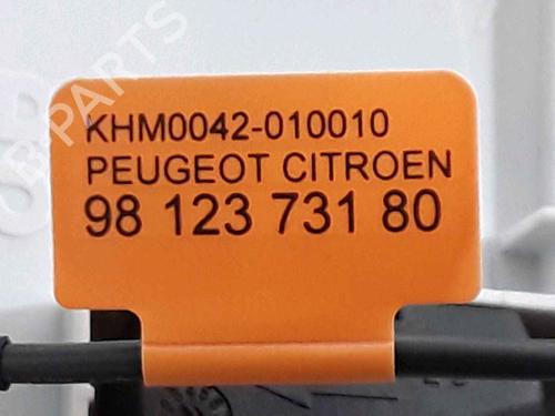 Interior roof light PEUGEOT 208 I (CA_, CC_) 1.6 HDi / BlueHDi 75 | BP25180456I8