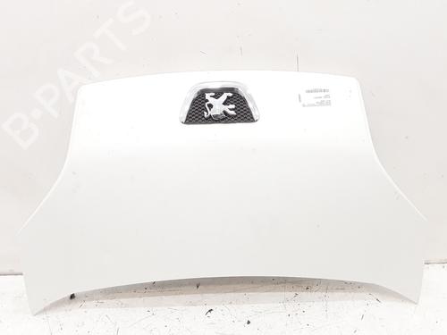 Used Hood PEUGEOT BIPPER (AA_) 1.3 HDi 75 (75 hp) 25767342