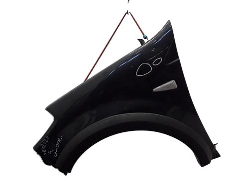 left-front-fenders-dacia-sandero-2008-36097798 main image