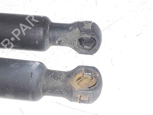 Tailgate lift support PEUGEOT 208 I (CA_, CC_) 1.4 HDi | BP25168426C138