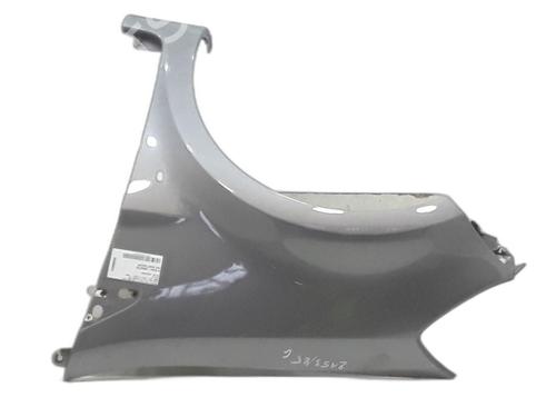 Left front fenders RENAULT CLIO III (BR0/1, CR0/1) 1.5 dCi (BR17, CR17) | BP31875376C41