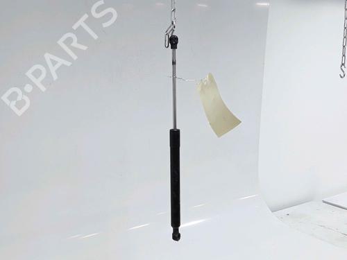 Hood lift support RENAULT CLIO IV (BH_) 1.5 dCi 75 | BP25167642C139 