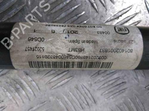 Right rear shock absorber FIAT 500L (351_, 352_) 1.6 D Multijet (199LYE1B) | BP25198813M19 