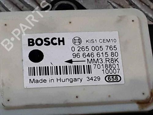 Pedal CITROËN C4 Picasso I MPV (UD_) 1.6 HDi | BP25194612I4 
