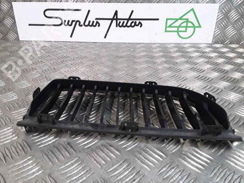 Grille BMW 3 (E90) 320 d | BP25181722C40 