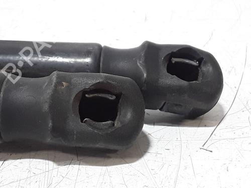 Tailgate lift support AUDI A3 Sportback (8VA, 8VF) 30 TDI | BP29317672C138 