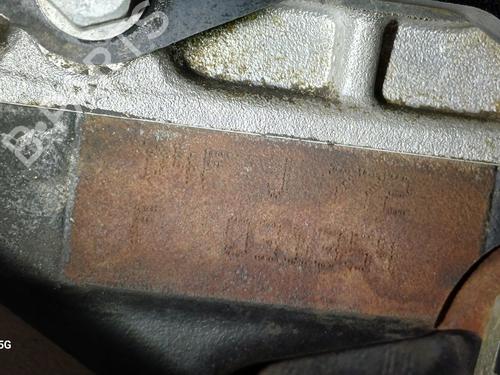 Engine RENAULT TWINGO II (CN0_) 1.2 16V (CN0K, CN0V, CN0A) | BP29515021M1 