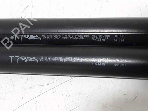 Tailgate lift support PEUGEOT 308 I (4A_, 4C_) 1.6 HDi | BP25167916C138 