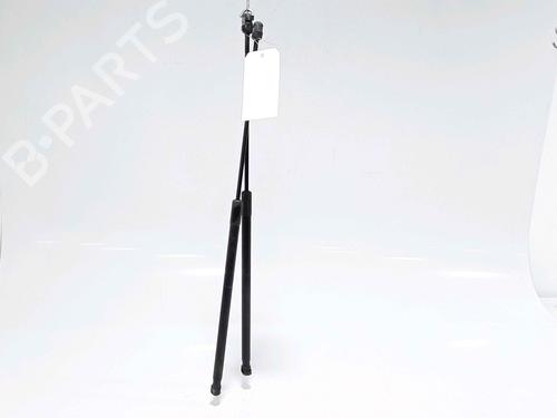 Used Tailgate lift support RENAULT MEGANE III Coupe (DZ0/1_) 1.5 dCi (DZ0C, DZ1A) (90 hp) 25168211