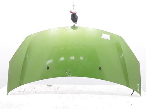 hood-citroen-c3-ii-sc_-2009-40093873 main image