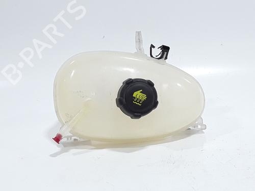 expansion-tank-renault-twingo-iii-bcm_-bca_-2014-34143445 main image
