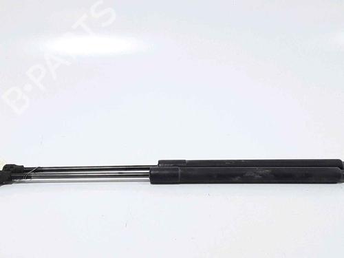 Tailgate lift support RENAULT CLIO IV (BH_) 1.5 dCi 90 | BP25168589C138 