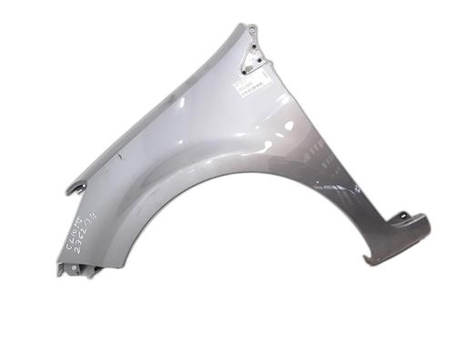 Used Left front fenders RENAULT CLIO III (BR0/1, CR0/1) 1.5 dCi (BR17, CR17) (86 hp) 25182276