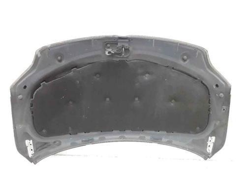 Hood VW GOLF PLUS V (5M1, 521) 1.4 TSI | BP25167569C1 