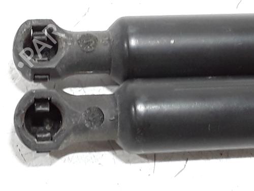 Tailgate lift support RENAULT SCÉNIC III (JZ0/1_) 1.9 dCi (JZ0J, JZ1J, JZ1K, JZ1S) | BP29576909C138