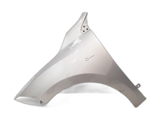 Used Left front fenders RENAULT MEGANE III Hatchback (BZ0/1_, B3_) 1.5 dCi (106 hp) 25181520