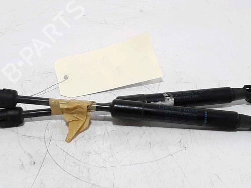 Hood lift support RENAULT SCÉNIC III (JZ0/1_) 1.5 dCi | BP25167802C139 