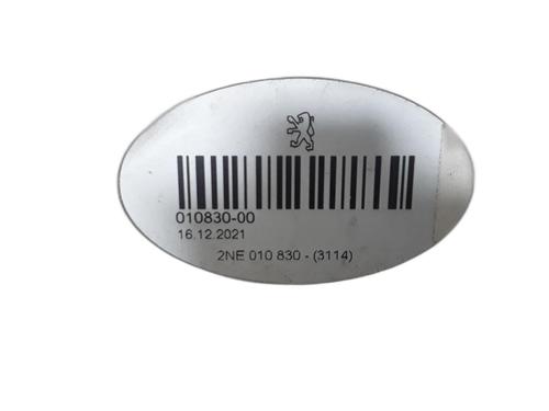 Third brake light PEUGEOT 208 II (UB_, UP_, UW_, UJ_) 1.2 PureTech 100 | BP29230199L11 