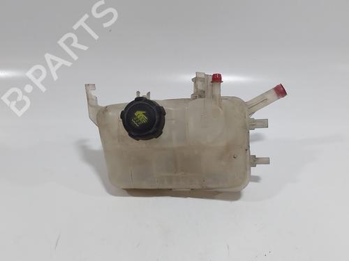 expansion-tank-renault-megane-iii-hatchback-bz01_-b3_-2008-33892267 main image
