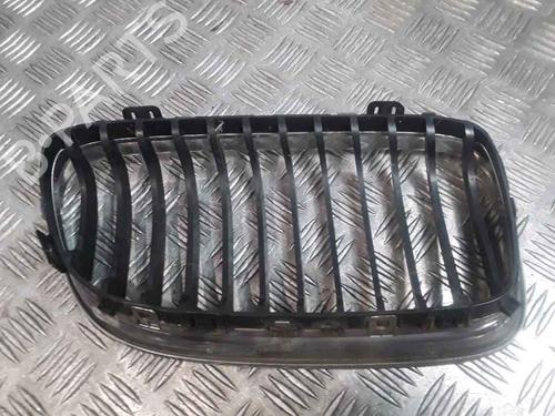 Grille BMW 3 Touring (E91) 318 d | BP25181676C40 