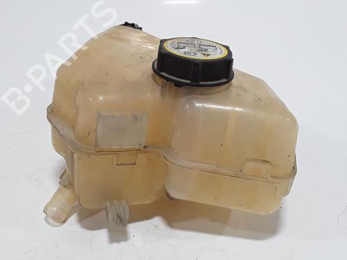 Expansion tank FORD FIESTA VI (CB1, CCN) 1.4 TDCi | BP26462389C120 