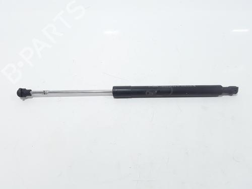 Hood lift support RENAULT CLIO IV (BH_) 1.5 dCi 90 | BP25167736C139 