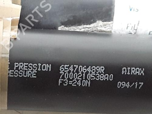 Hood lift support RENAULT KANGOO Express (FW0/1_)  | BP25167290C139 