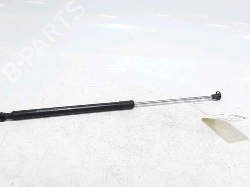 Used Hood lift support DACIA SANDERO II 1.5 dCi (90 hp) 25167491