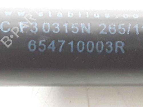 Hood lift support RENAULT MEGANE III Hatchback (BZ0/1_, B3_) 1.5 dCi (BZ09, BZ0D, BZ1W, BZ29, BZ14) | BP25167611C139 