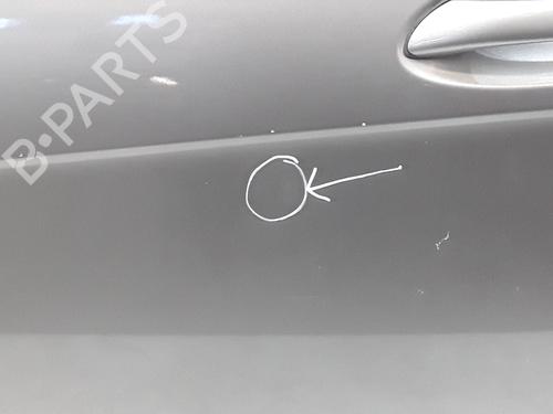 Left front door MERCEDES-BENZ A-CLASS (W169) A 170 (169.032, 169.332) | BP29816690C2 